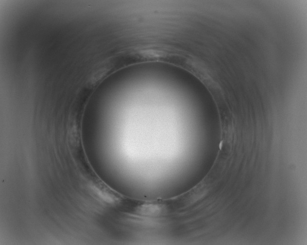 X0000083070418200702091535