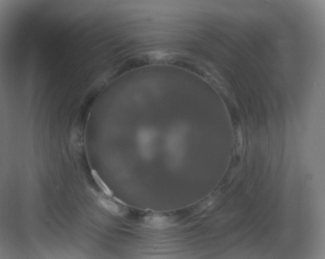 X0000083070419200702091535