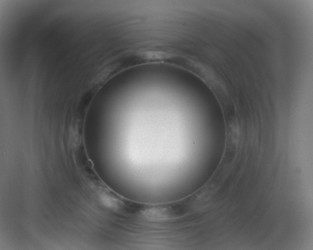 X0000083070422200702091535
