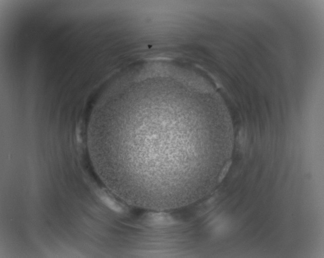 X0000083070424200702091535
