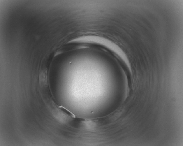 X0000083070425200702091535