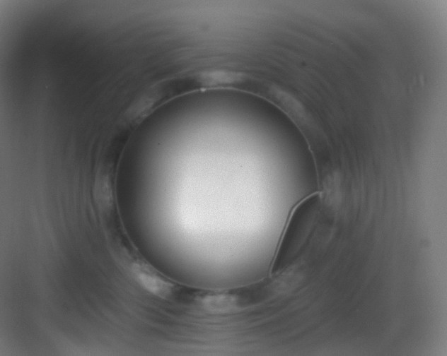 X0000083070426200702091535