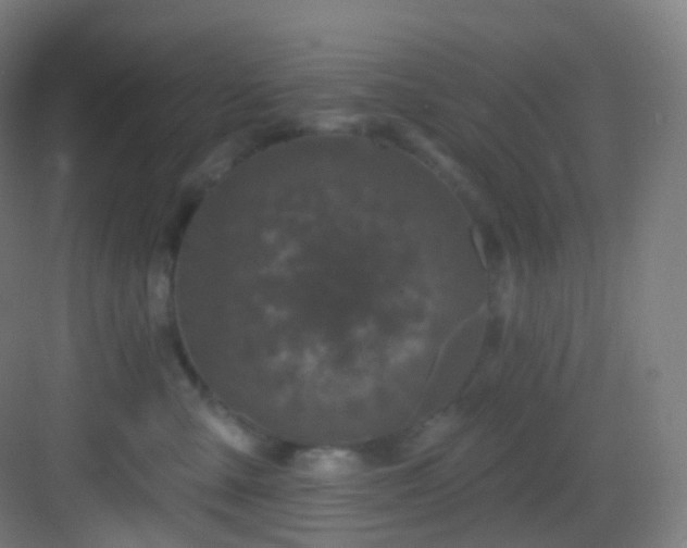 X0000083070427200702091535