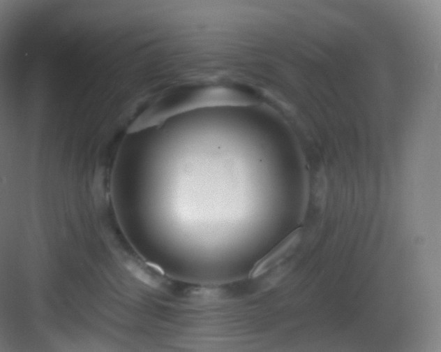 X0000083070428200702091535
