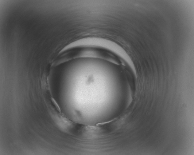 X0000083070429200702091535