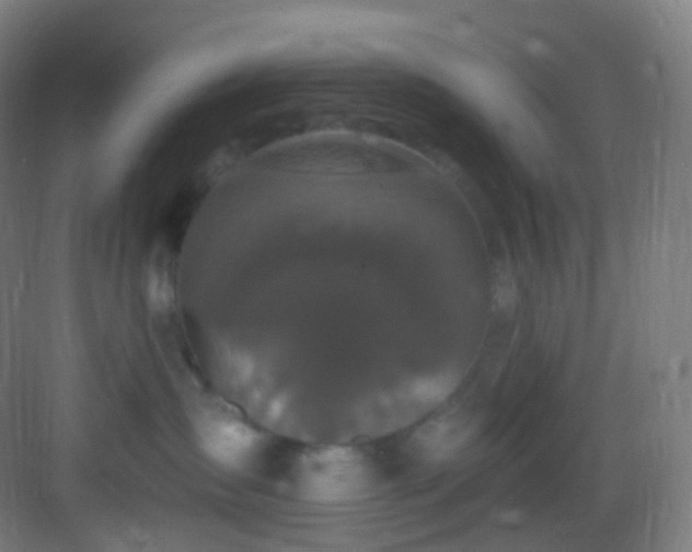 X0000083070431200702091535