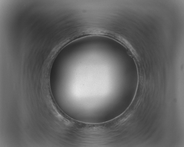 X0000083070433200702091534