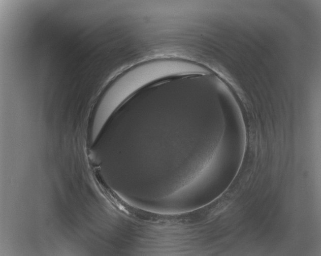 X0000083070434200702091534