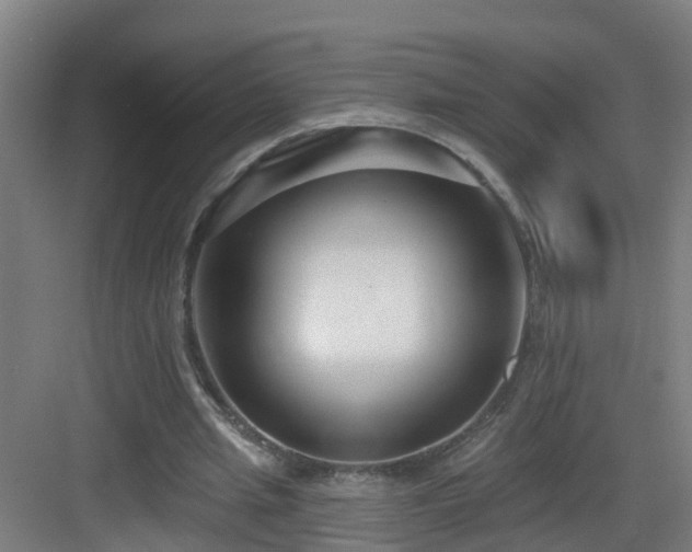 X0000083070437200702091534