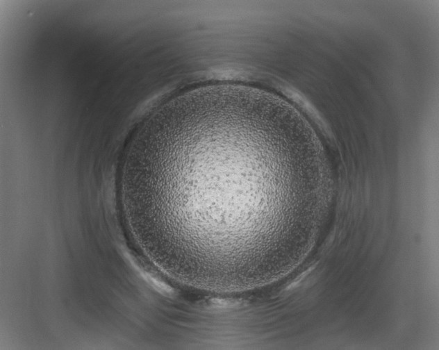 X0000083070442200702091534