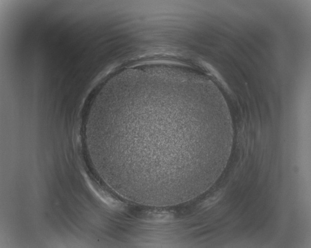 X0000083070443200702091534