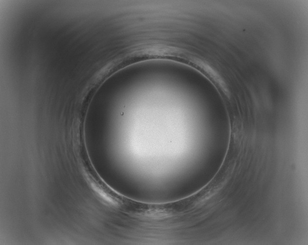 X0000083070445200702091534