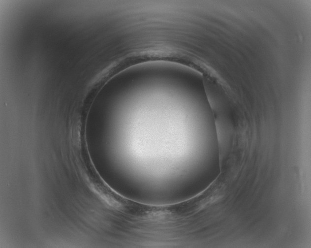 X0000083070446200702091534