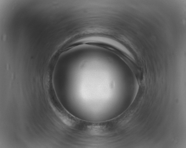 X0000083070448200702091534