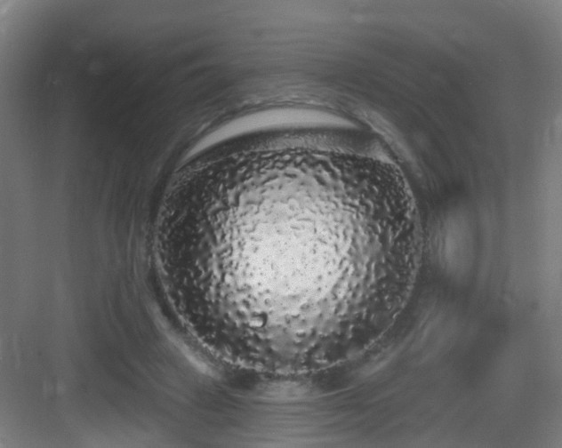 X0000083070449200702091534