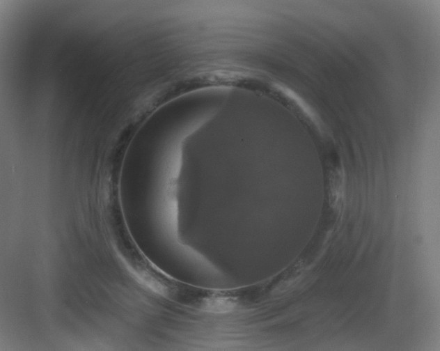 X0000083070451200702091534