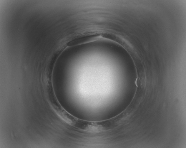 X0000083070455200702091535