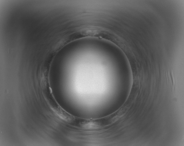 X0000083070460200702091535