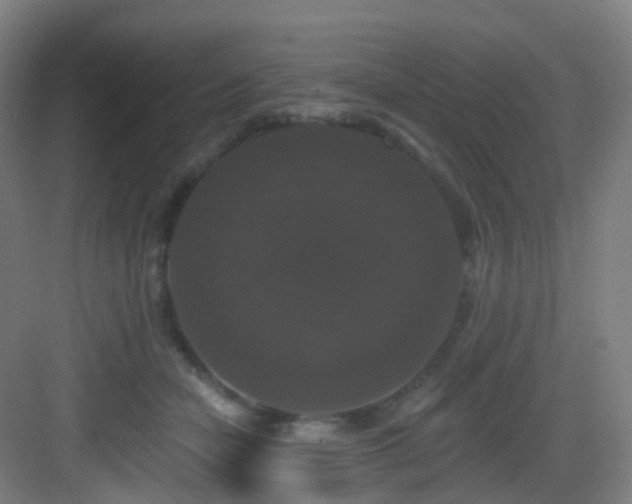 X0000083070462200702091535