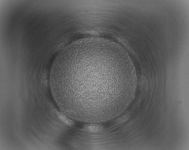 X0000083070466200702091535