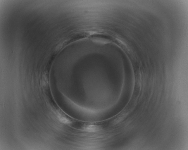 X0000083070467200702091535