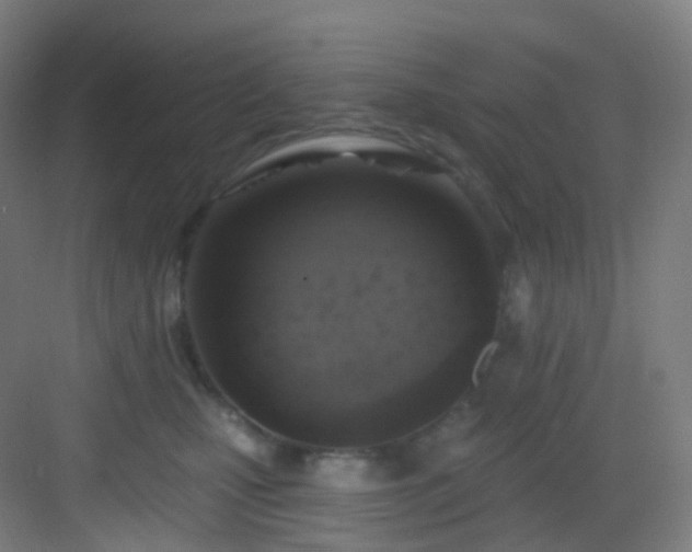 X0000083070471200702091535