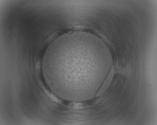 X0000083070472200702091535