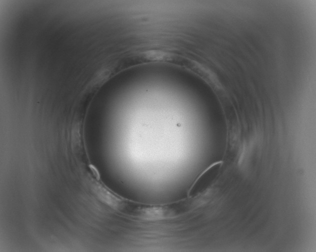 X0000083070473200702091535
