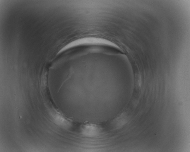 X0000083070475200702091535