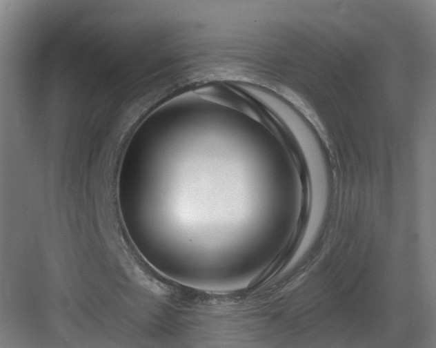 X0000083070481200702091534