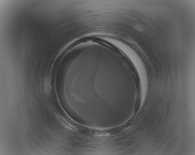 X0000083070484200702091534