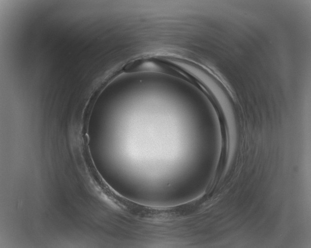 X0000083070485200702091534