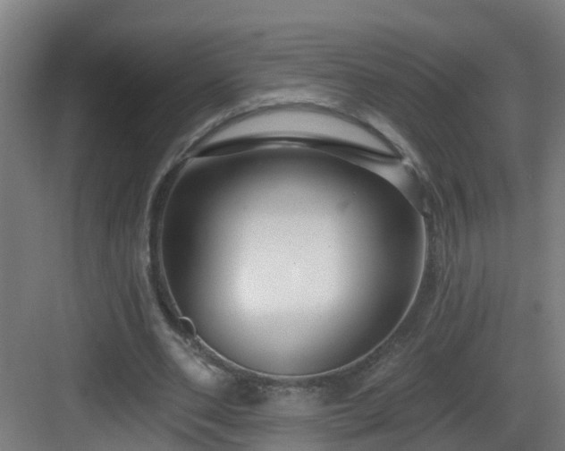 X0000083070486200702091534