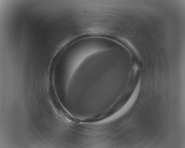 X0000083070488200702091534