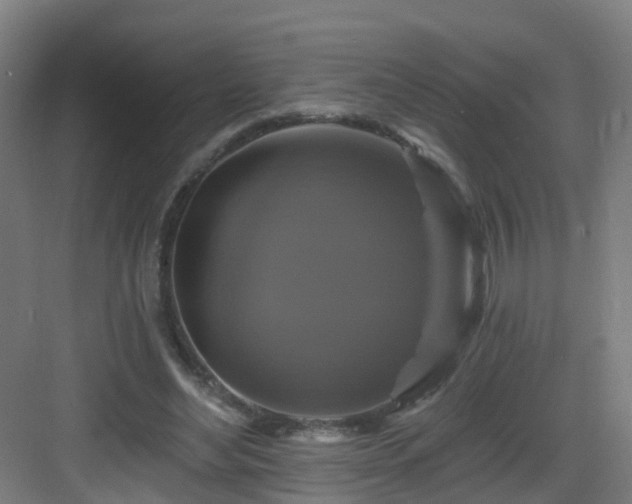 X0000083070492200702091534