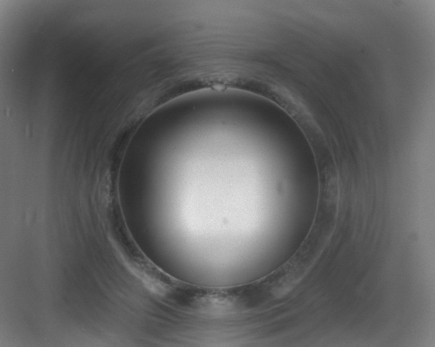 X0000083070498200702091534