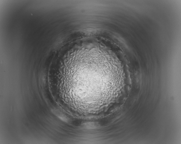 X0000083070499200702091534