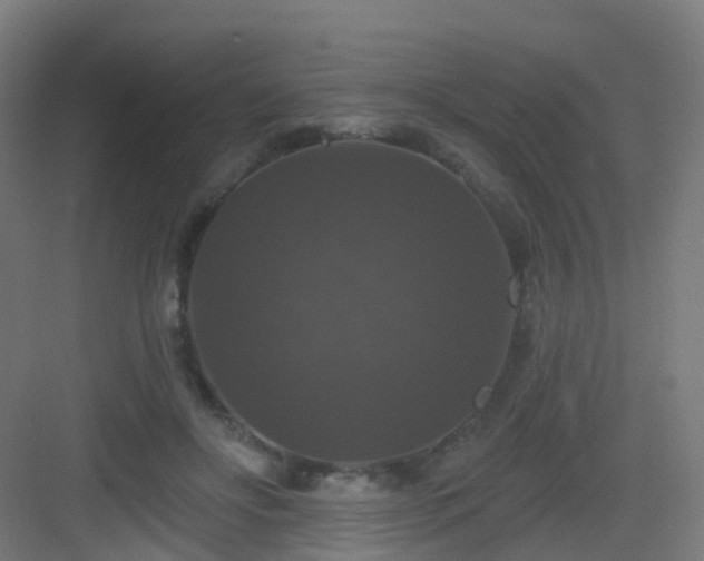X0000083070502200702091534