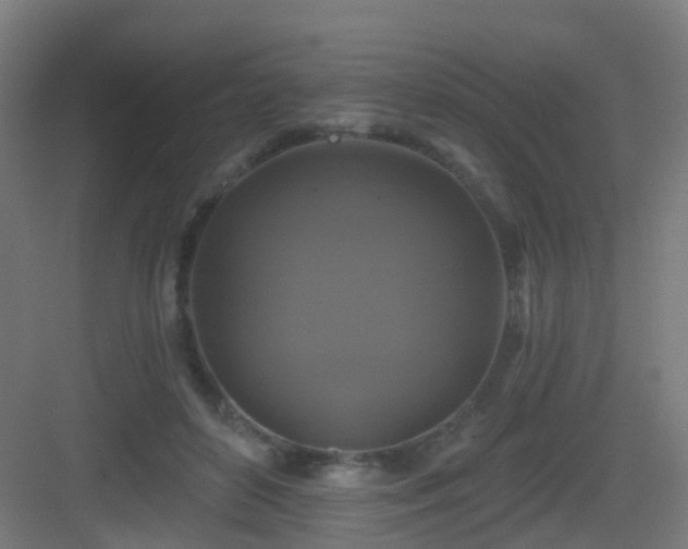 X0000083070504200702091534
