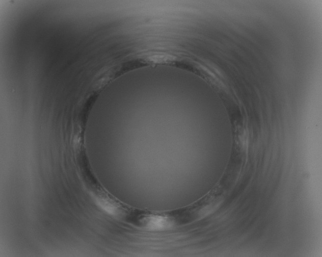 X0000083070507200702091534
