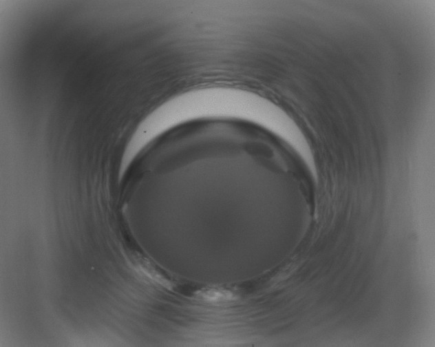 X0000083070512200702091534