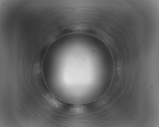 X0000083070514200702091534