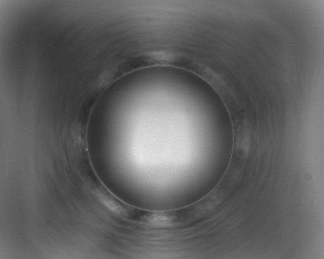 X0000083070518200702091534