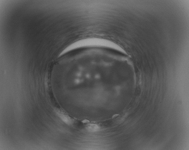 X0000083070519200702091534