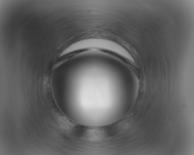 X0000083070521200702091533
