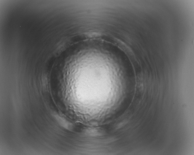 X0000083070523200702091533