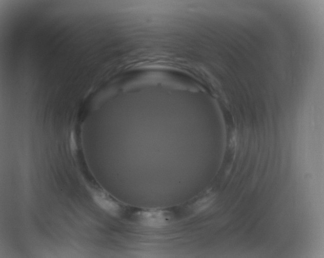 X0000083070524200702091533