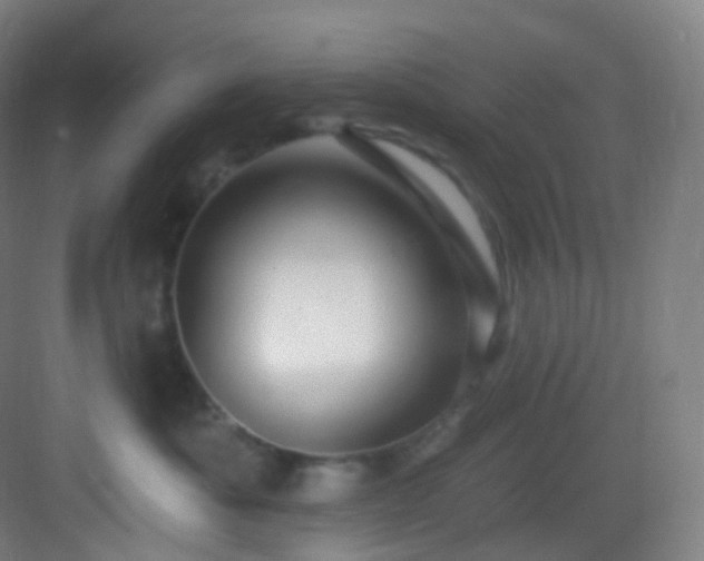 X0000083070525200702091533