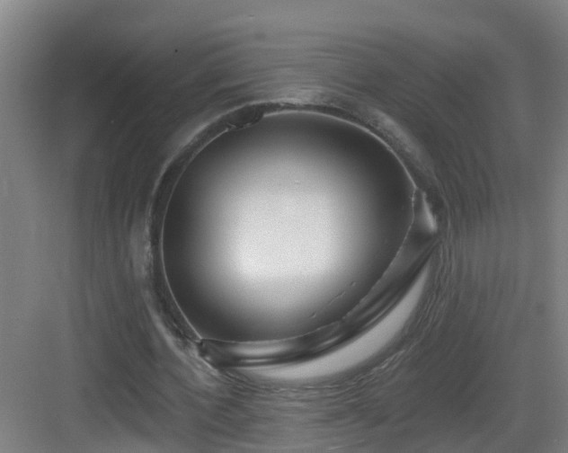 X0000083070532200702091533