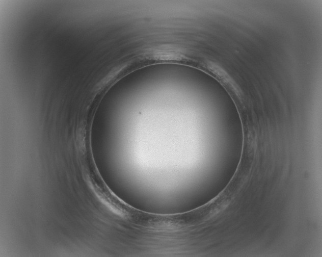 X0000083070533200702091533